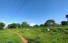 Residential Land at Mtondia Kilifi - 1