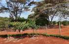 10,000 ft² Residential Land in Kenyatta Road - 4
