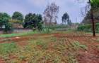 Residential Land at Pan African Insurance Avenue - 9