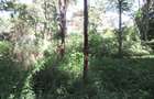 Residential Land at Mwitu Estate - 7