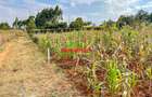 0.05 ha Residential Land in Kamangu - 12