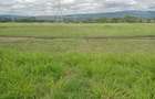 0.125 ac Land at Salgaa - 8