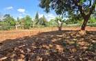 Residential Land at Flem Tree - 14