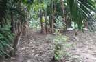 8,094 m² Residential Land at Mtepeni Area - 6