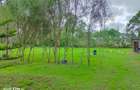 0.25 ac Land at Kerarapon Drive - 1