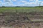 10 ac Land at Isinya - 14