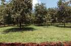 Land at Thika - 15