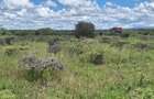 0.125 ac Residential Land at Kitengela - 5