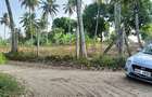 15 ac Land at Bomani - 6