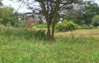 5 ac Residential Land at Mukoyet West - 3