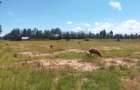 Land in Nanyuki - 2