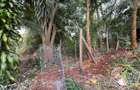 1 ac Land in Kitisuru - 3