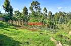 0.1 ha Residential Land at Muguga - 8