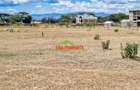 0.05 ha Residential Land in Naivasha - 3