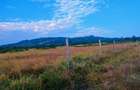 10 ac Land at Mweiga - 10