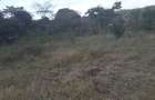 53 m² Residential Land in Ongata Rongai - 5