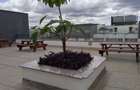 3 Bed Apartment with En Suite in Kilimani - 15