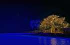 0.126 ac Land at Funzi Island Land For Sale - 16