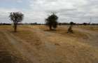 Land at Namanga Rd - 8