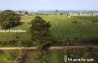 0.25 ac Land in Vipingo - 1