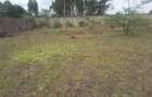 0.5 ac Residential Land in Karen - 10