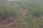 0.125 ac Land in Machakos County - 2