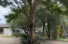 5 Bed House with En Suite in Karen - 1