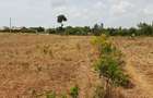 Land in Kilifi - 14