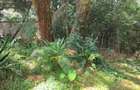 1.25 ac Land at Tate Close - 4