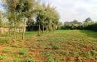 500 m² Residential Land at Nairobi Ndogo Estate - 9