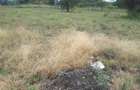 0.125 ac Residential Land in Ongata Rongai - 4