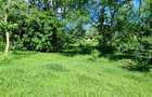 2.5 ac Land at Mtwapa Creekside - 12