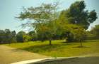 Residential Land at Easy Access To Ngong Road And Dagoreti Road - 14