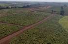 0.125 ac Residential Land in Juja - 2