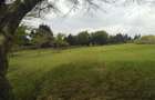 0.25 ac Land in Ngong - 3