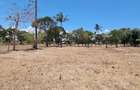 1 ac Land at Creek Beach Side - 10