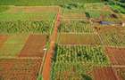 Residential Land in Ruiru - 5