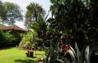 4 Bed House with Staff Quarters in Lavington - 6