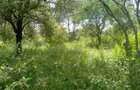 10.8 ac Land at Mombasa Road - 6
