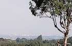 2 ac Land at Off Tigoni - Kabuku Rd - 2