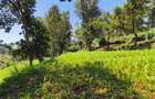 Land in Kitisuru - 4