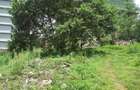 Land at East Church Rd - 8