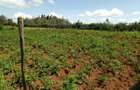 440 m² Residential Land at Limuru Uplands - 2