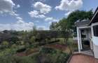 3.75 ac Land in Karen - 9