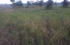 0.25 ac Land in Ongata Rongai - 11