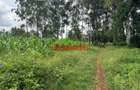 0.1 ha Residential Land at Kikuyu - 9