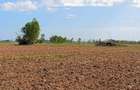 59 ac Land in Kiserian - 1