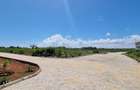 Land at Vipingo - 20