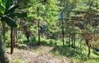 0.5 ac Land at Kirawa Road - 4