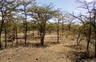 Land at Nanyuki - 11